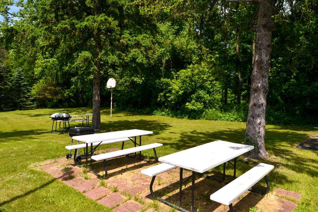 Americas Best Value Inn Jonesville/Hillsdale Зручності фото